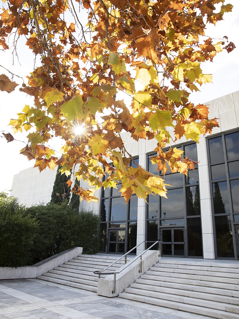 Ένας Οκτώβρης γεμάτος μουσικές αποχρώσεις περιμένει τα παιδιά στο Μέγαρο Μουσικής: Δείτε τα εκπαιδευτικά προγράμματα