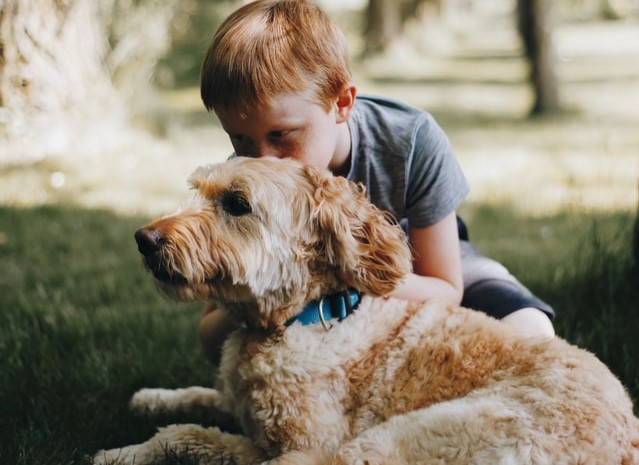 Γιατί τα σκυλιά ζουν λιγότερο από τους ανθρώπους; Η ωραιότερη απάντηση που δόθηκε ποτέ