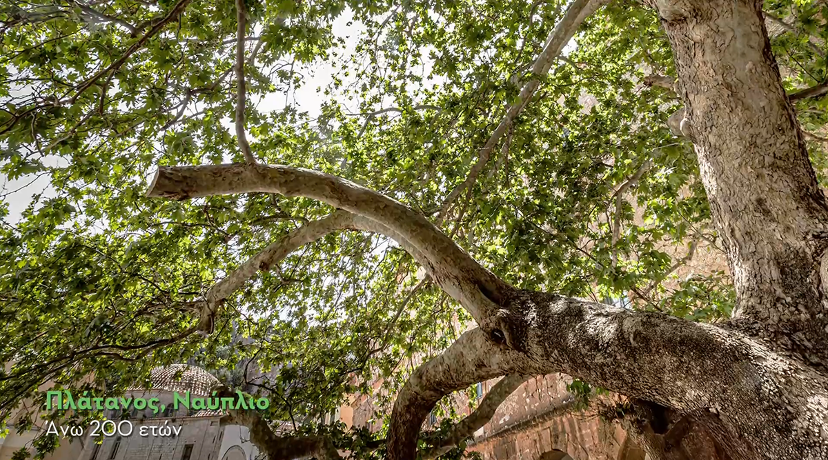 Παιδιά, ανακαλύψτε την Πελοπόννησο στον πιο πρωτότυπο μαθητικό διαγωνισμό με έμπνευση από την Επανάσταση!