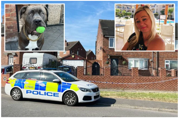 Βρετανία: 43χρονη μητέρα δύο παιδιών κατασπαράχθηκε από τον σκύλο της – “Η ζέστη τον τρέλανε” λέει η μητέρα της
