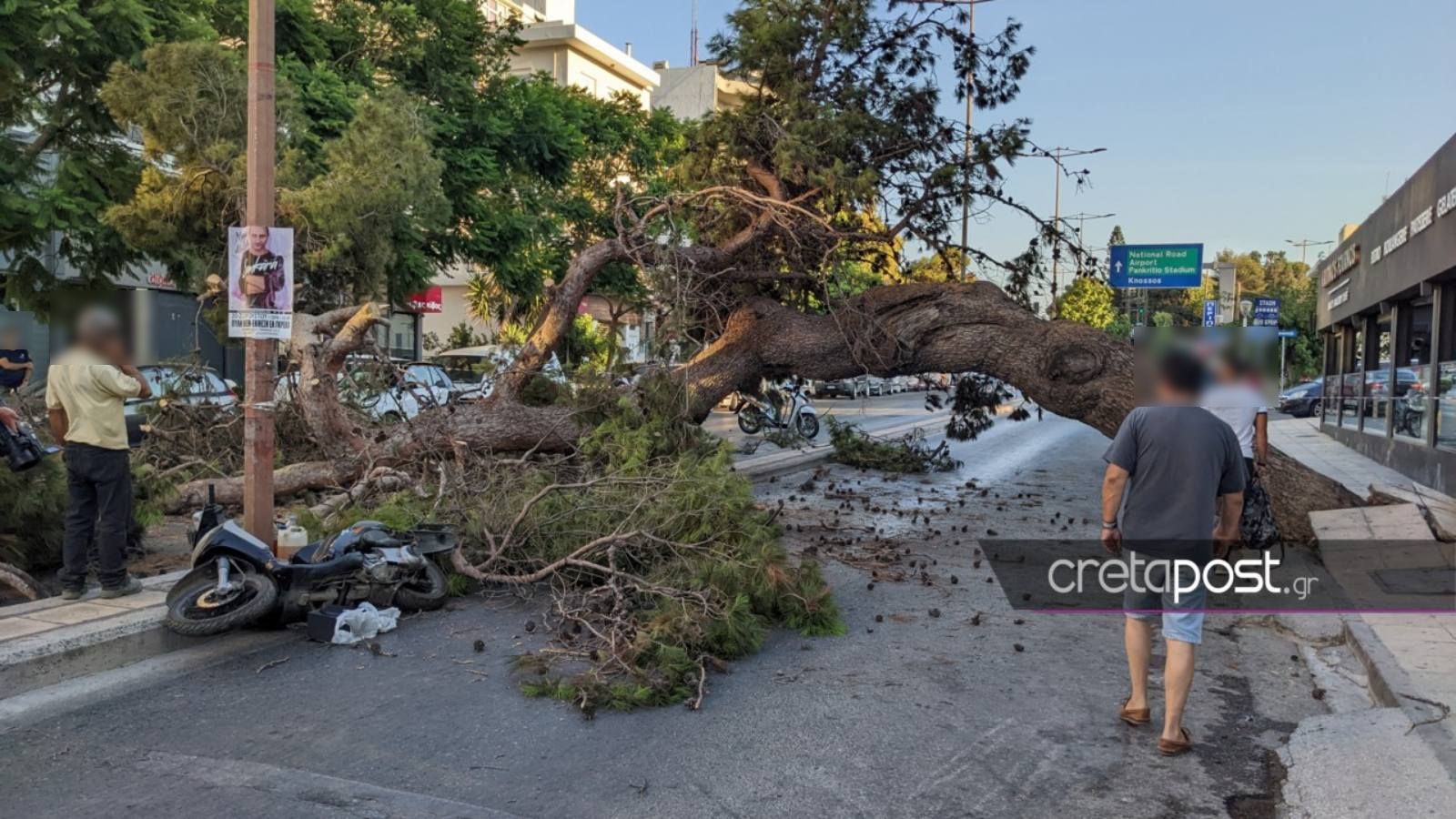 Θρήνος στην Κρήτη: 51χρονος καταπλακώθηκε από δέντρο - Ήταν μπαμπάς 3 παιδιών