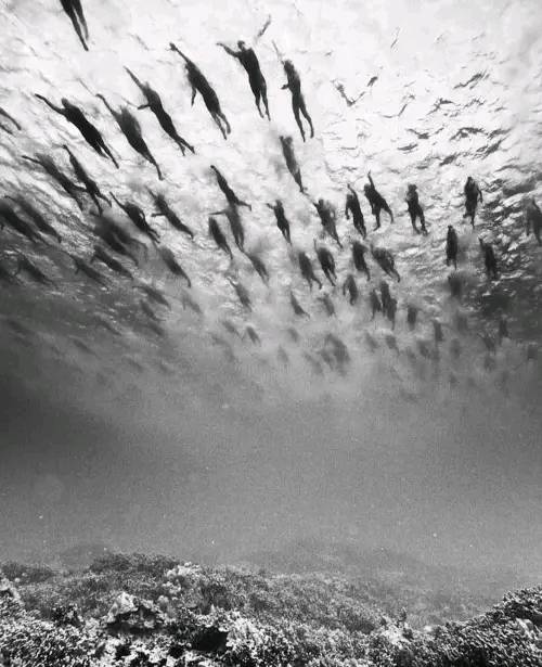 Βιωματικά εργαστήρια προφορικής λογοτεχνίας και αφήγησης με τον Δρ. Στέλιο Πελασγό 2023 - 2024