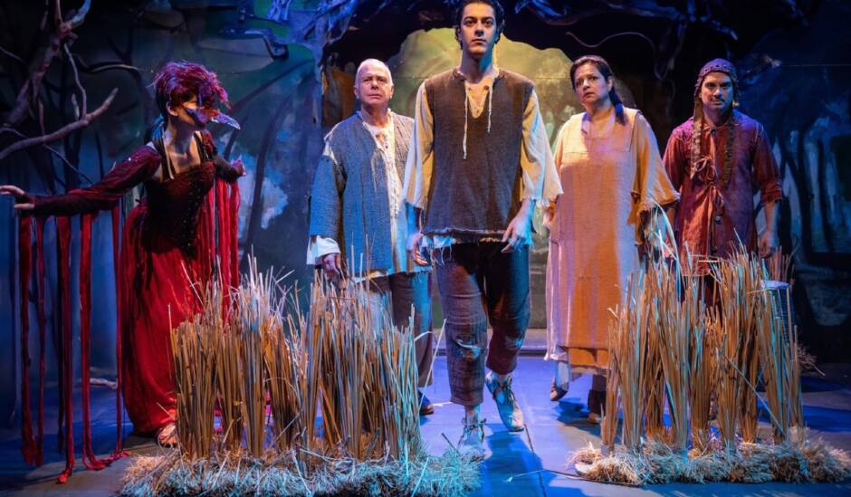 Αστερόπαιδο