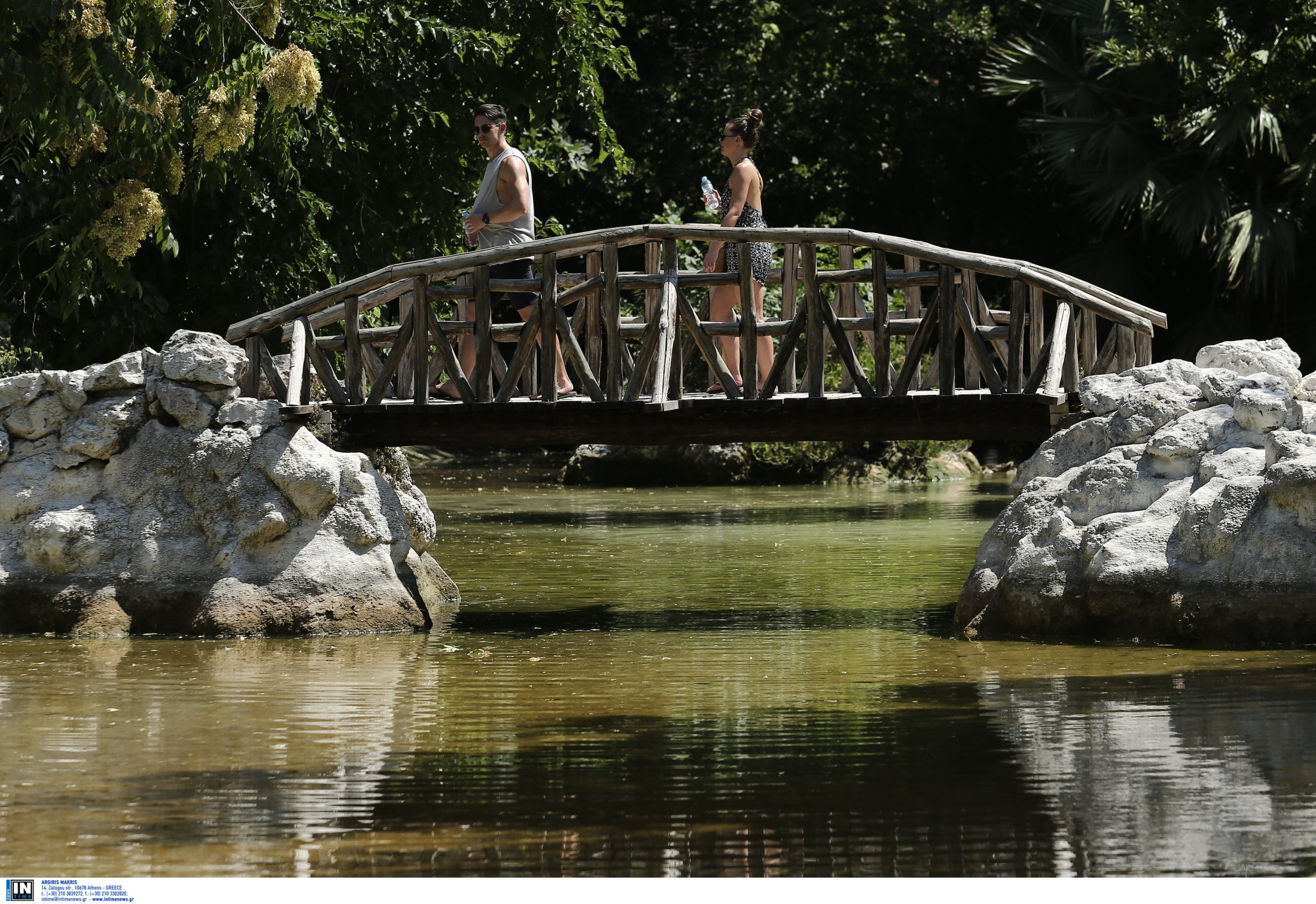 «Αγκαλιά με ένα δέντρο συνυπάρχω» στον Εθνικό Κήπο